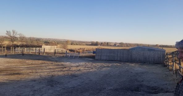 Montana Dream Property With Unlimited Options on 48+ Acres In Sidney: 12353 County Rd 348, Sidney, MT 59270
